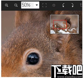 Imaging Edge下载,远程拍摄,相片浏览,图像编辑