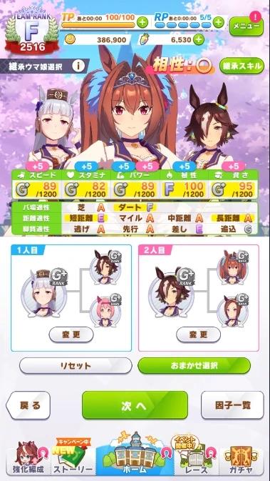 赛马娘官服下载,赛马娘,育成手游,经营手游
