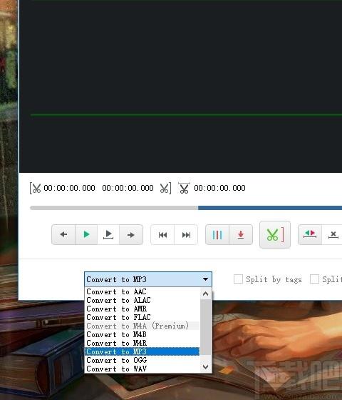 DVDVideosoft Free Audio Editor下载,音频编辑软件,音频处理,音频编辑