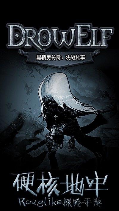 黑精灵传奇决战地牢官方版(暂未上线),黑精灵传奇决战地牢,地牢游戏,冒险游戏